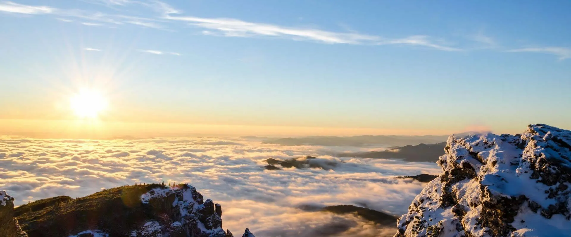 有名企業と提携