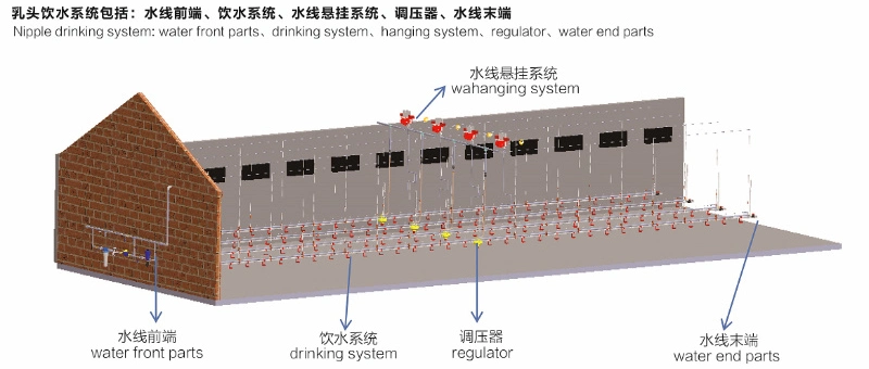 Poultry Silo Feeding System for Poultry House /Livestock Farms